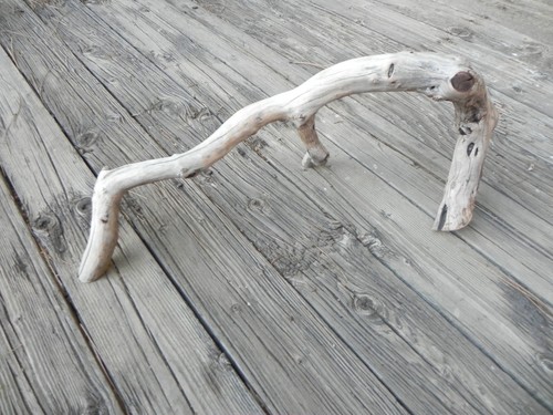 Big natural manzanita - big,