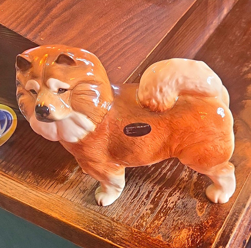 Coopercraft chow - chow, dog