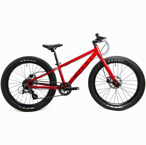 Vitus kids mountain bike - 24”,