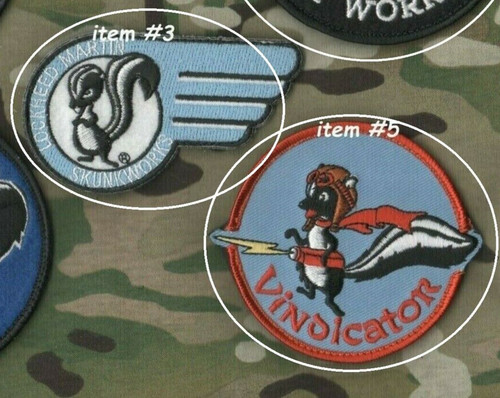 Lockheed martin skunk works - skunk,