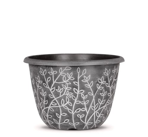 Large grey round - large, plant