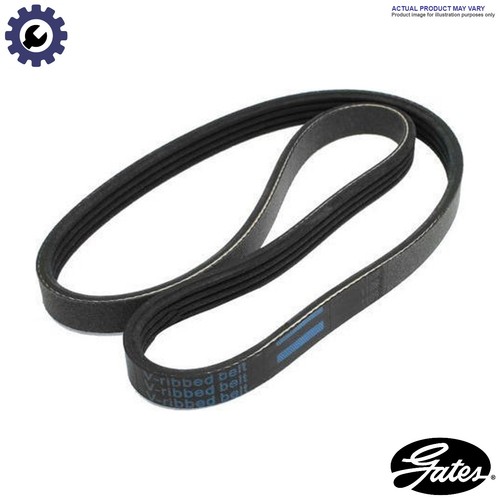Vribbed belt 6pk2315 for - belt,