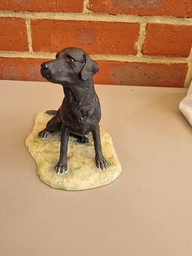 Fine arts black labrador r - fine,