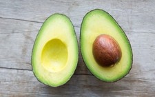 Grafted Lamb Hass Avocado