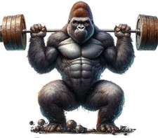 Heavy Weightlifting Gorilla