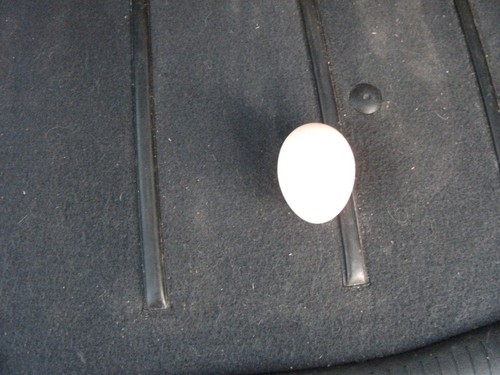 Free range eggs - free,