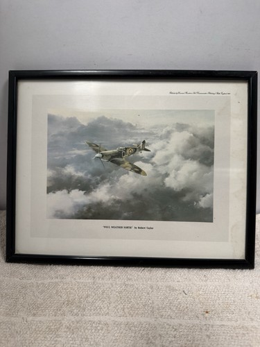 Foul weather sortie robert - foul,