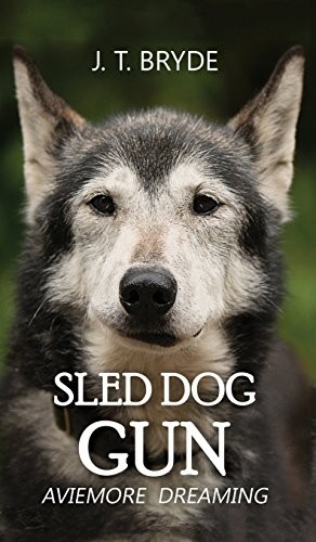 Sled dog gun aviemore - sled,