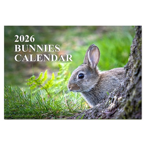 2026 bunnies wall - 2026,
