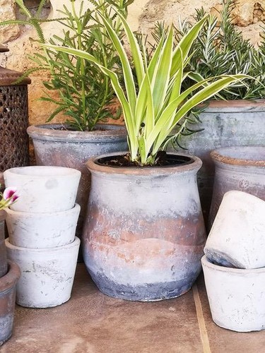 Curved plant pot - plant, grey