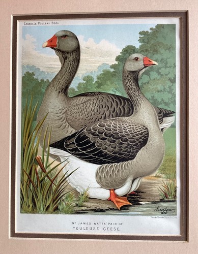 James watts pair - james, watts'