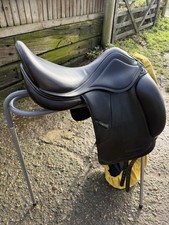 171/2 MW Amerigo Vega dressage