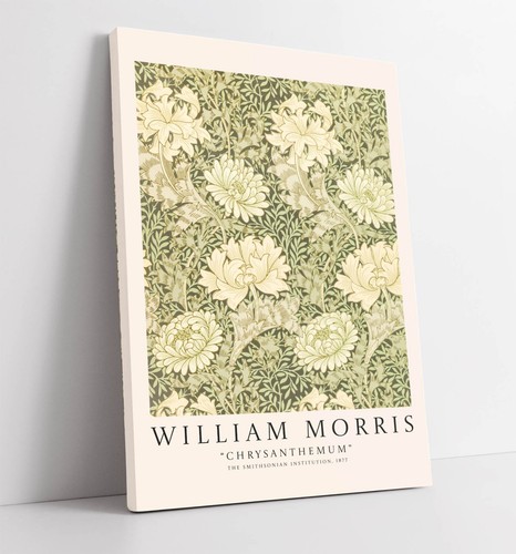 William morris chrysanthemum - william, 'chrysanthemum'