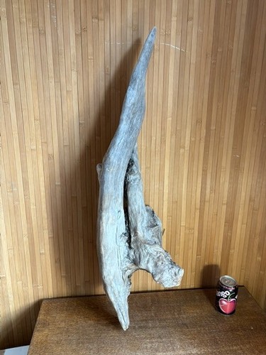 Driftwood piece very - driftwood,