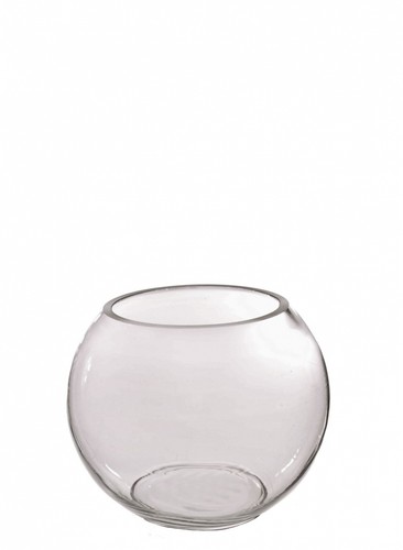 Clear glass fish - glass, bowl