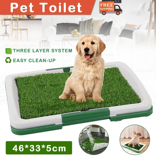 Pet dog toilet mat indoor - toilet,