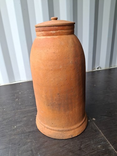 Terracotta rhubarb forcer - terracotta,
