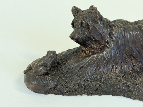 Heredities yorkshire terrier - heredities,
