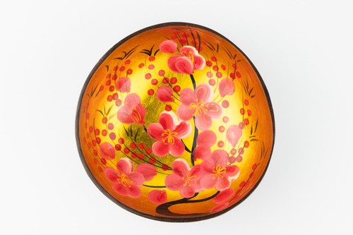 Colourful coconut bowl - colourful,