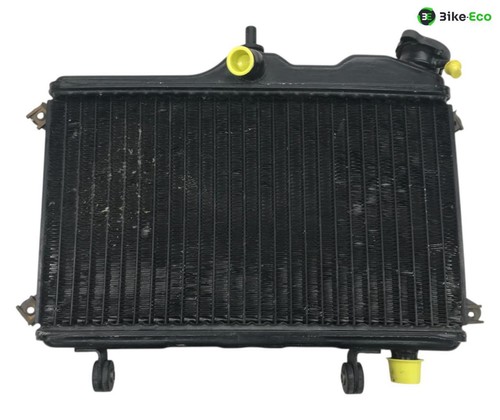 Water radiator yamaha tdr - radiator, 250