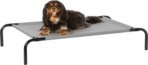 Amazon basics raised dog bed - basics,