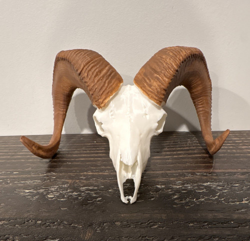 Brown white ram - &, with