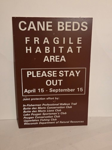 Cane bed wildlife - cane,