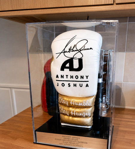 Boxing glove display - boxing, case