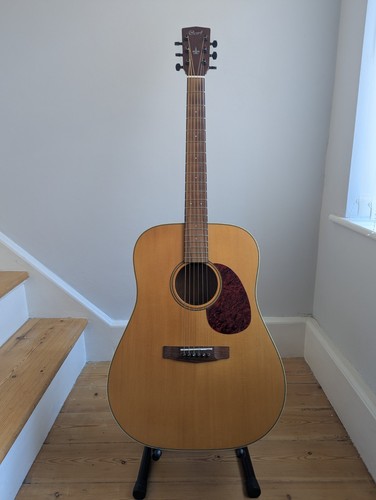 Cort earth 100 acoustic - earth,