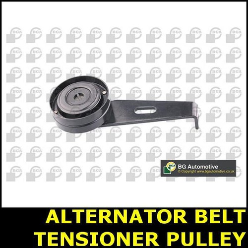 Ribbed belt tensioner - belt,