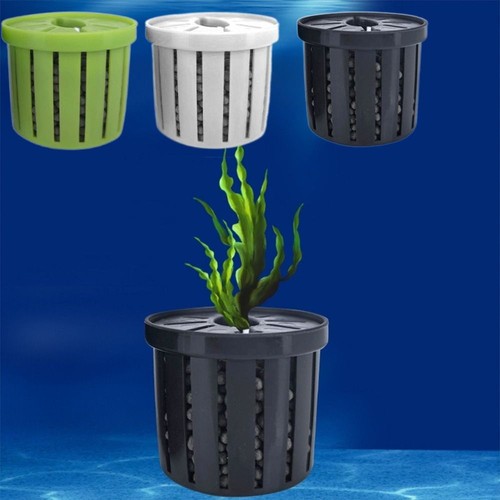 Glass pot hanging aquarium - pot,