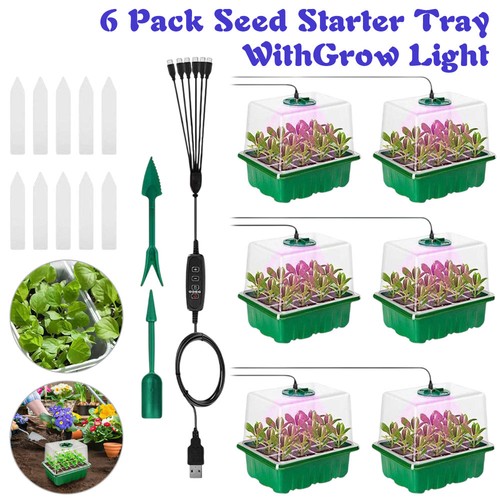 Pack seed starter tray - pack,