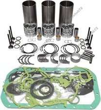 Overhaul Rebuild Kit for Yanmar Engine3TN100 3TN100E Atlas Copco Generator QAS28
