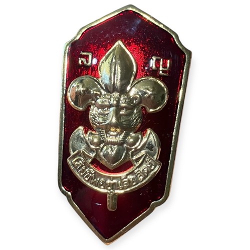 Scouts thailand assistant - thailand,