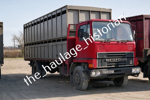 Thh truck photos - truck,