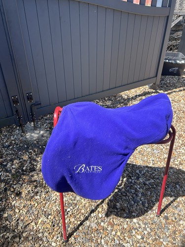 Bates momentum jumping saddle - momentum,