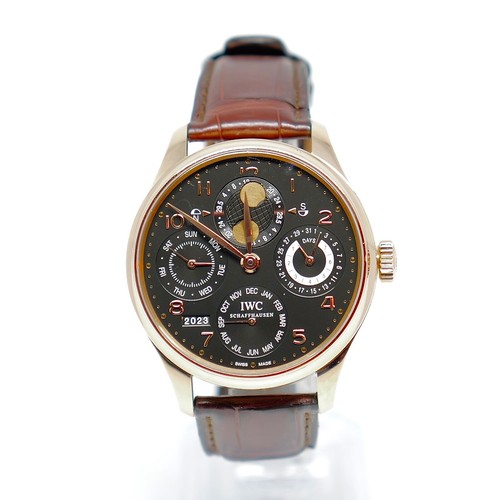 Iwc portuguese perpetual - iwc,