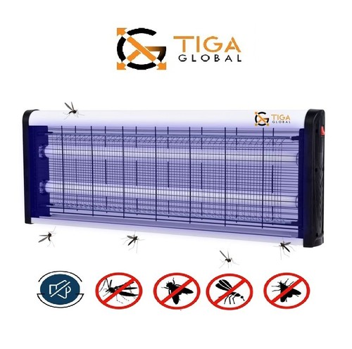 Fly insect killer - fly,