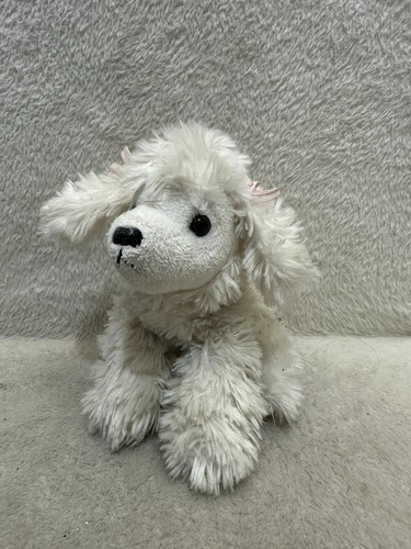 Aurora small white poodle