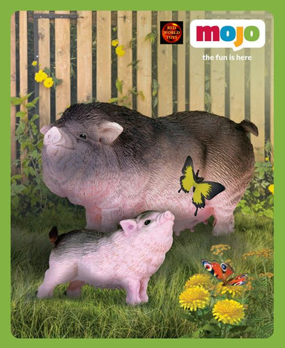 Pot bellied pig - bellied, and