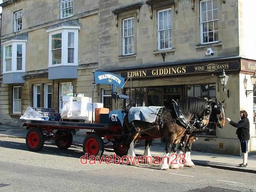 Photo beer delivery horse - photo,
