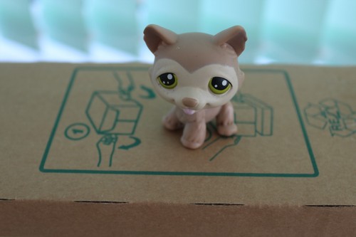 Littlest pet shop lps husky - lps,
