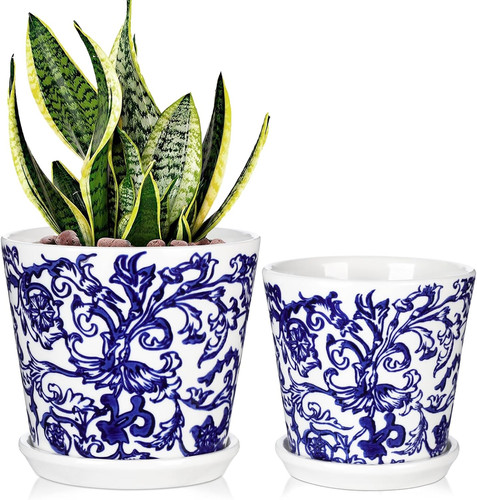 Blue and white ceramic - white, plant