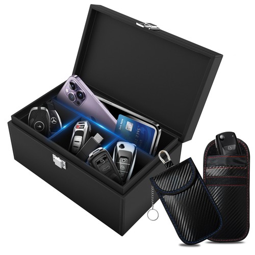 Faraday box for car - faraday,