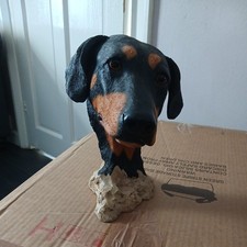 Sherratt simpson doberman - &,