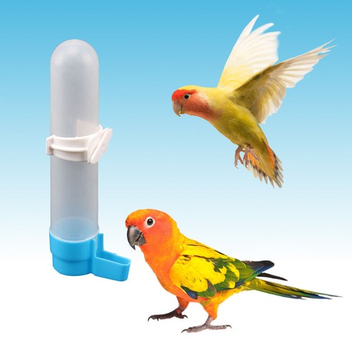 New pcs parrot automatic - new,