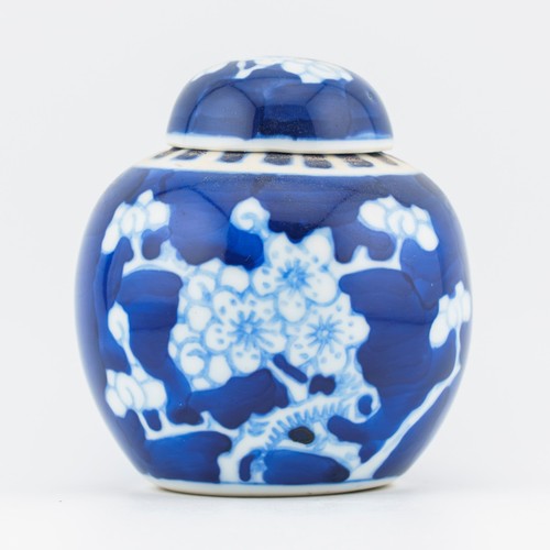 Chinese porcelain ginger - chinese, jar
