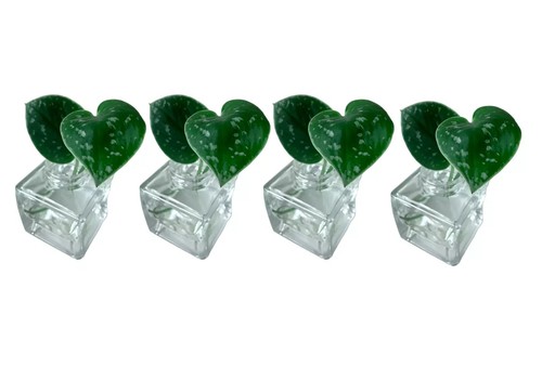 Wedding table centrepieces - ,