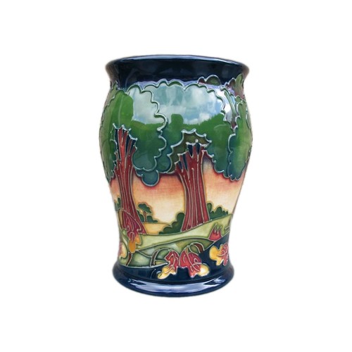 Moorcroft evening sky - ,