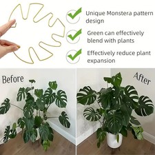 Green Monstera Leaf Plant Support For Indoor And Outdoor Plant Stabilizer